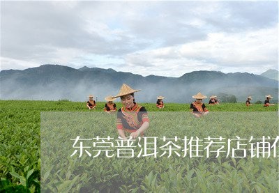 东莞普洱茶推荐店铺在哪里/2023082750504