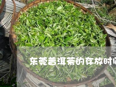 东莞普洱茶的存放时间/2023080108473