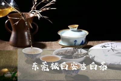 东莞极白安吉白茶/2023061483736