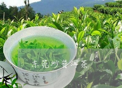 东莞炒普洱茶/2023042883564