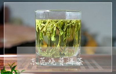 东莞烧普洱茶/2023042782223