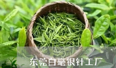 东莞白毫银针工厂/2023061497169