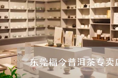 东莞福今普洱茶专卖店/2023061980382