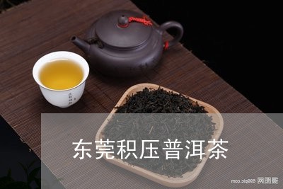 东莞积压普洱茶/2023081596126