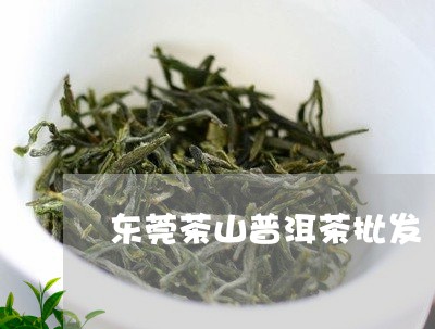 东莞茶山普洱茶批发/2023070830382