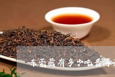 东莞藏有多少吨普洱茶/2023080228561