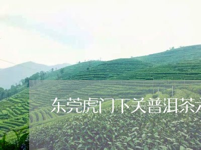 东莞虎门下关普洱茶六福/2023112885727