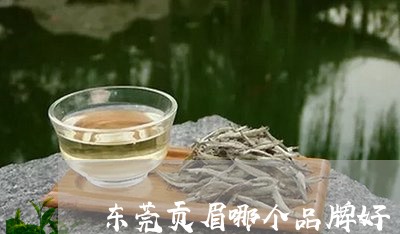 东莞贡眉哪个品牌好/2023121682917