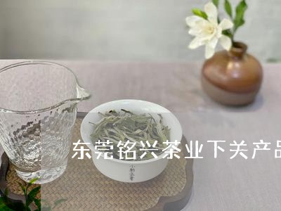 东莞铭兴茶业下关产品/2023092149492