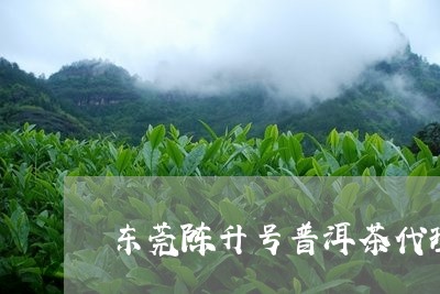 东莞陈升号普洱茶代理/2023061428523