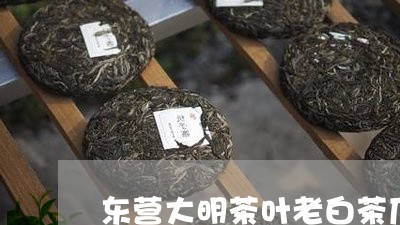 东营大明茶叶老白茶厂/2023092713817