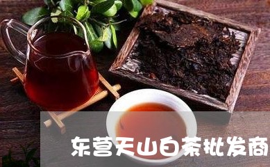 东营天山白茶批发商店/2023092734869