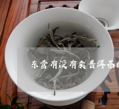 东营有没有卖普洱茶的/2023062328382