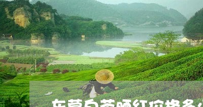 东营白茶晒红价格多少/2023092769693