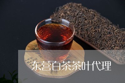 东营白茶茶叶代理/2023061439291