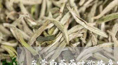 东营白茶茶叶价格多少/2023092733496