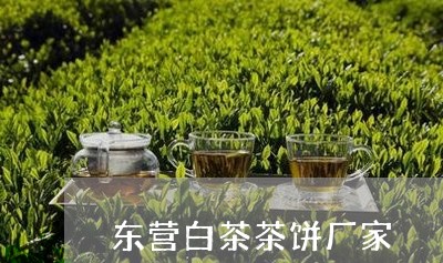 东营白茶茶饼厂家/2023061474016