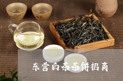 东营白茶茶饼招商/2023061498470