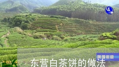 东营白茶饼的做法/2023061424737