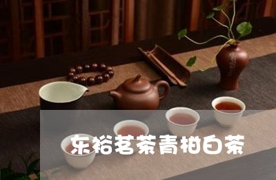 东裕茗茶青柑白茶/2023061406058