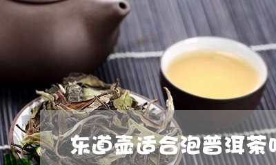 东道壶适合泡普洱茶吗/2023092926240