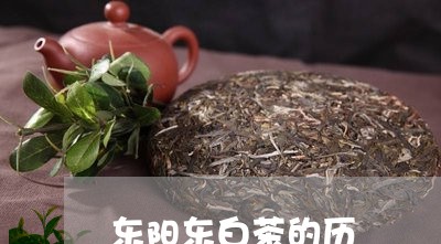 东阳东白茶的历/2023061489835