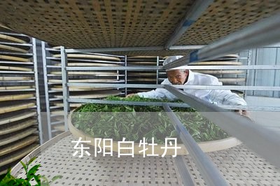 东阳白牡丹/2023082759703