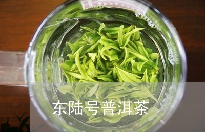 东陆号普洱茶/2023042530639