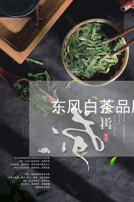 东风白茶品牌/2023051233636