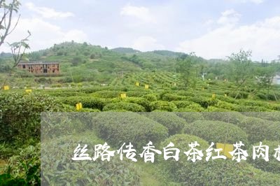 丝路传香白茶红茶肉桂/2023092765171