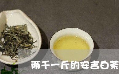 两千一斤的安吉白茶/2023071470260