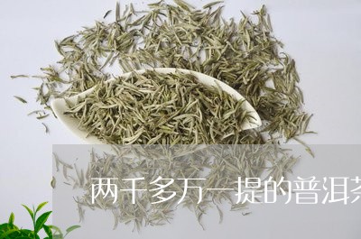 两千多万一提的普洱茶/2023092521503