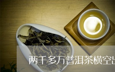 两千多万普洱茶横空出世/2023081490493