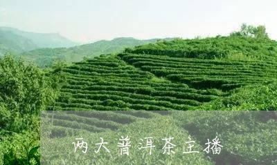 两大普洱茶主播/2023102604960