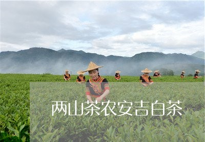 两山茶农安吉白茶/2023061468380