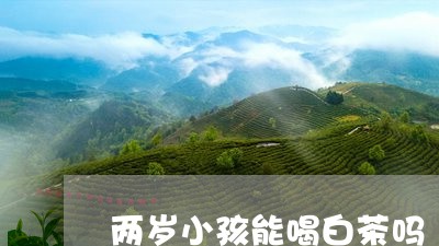 两岁小孩能喝白茶吗/2023121626160