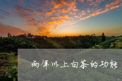 两年以上白茶的功能/2023121662615