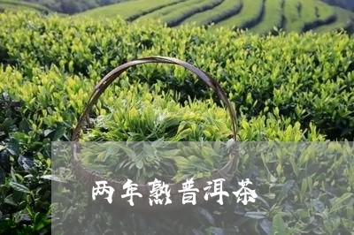 两年熟普洱茶/2023090646138