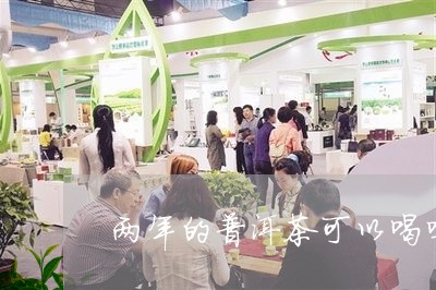 两年的普洱茶可以喝吗/2023061537369