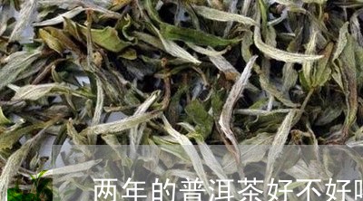 两年的普洱茶好不好喝/2023061420371