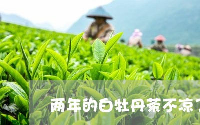 两年的白牡丹茶不凉了/2023120998592