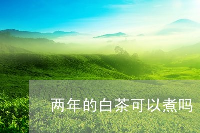 两年的白茶可以煮吗/2023121520492