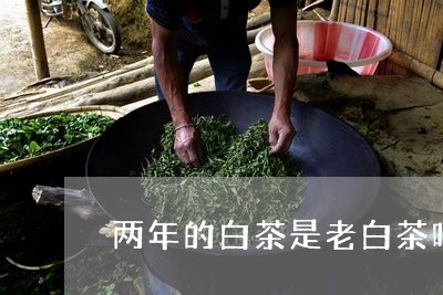 两年的白茶是老白茶吗/2023092759391