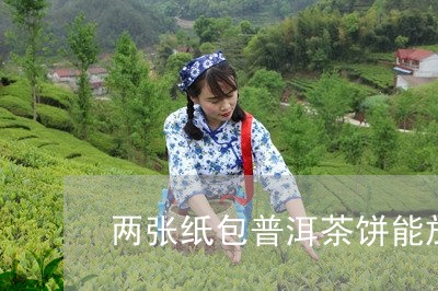 两张纸包普洱茶饼能放多久/2023082838581