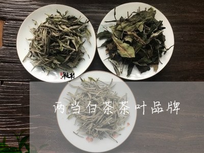 两当白茶茶叶品牌/2023061475936