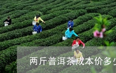 两斤普洱茶成本价多少元/2023082800594