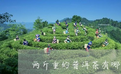 两斤重的普洱茶有哪些品种/2023112509592