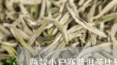 两款小户赛普洱茶比较/2023062116483