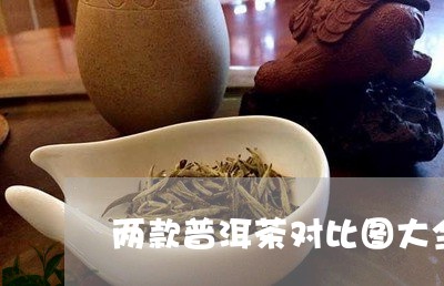 两款普洱茶对比图大全/2023082868686