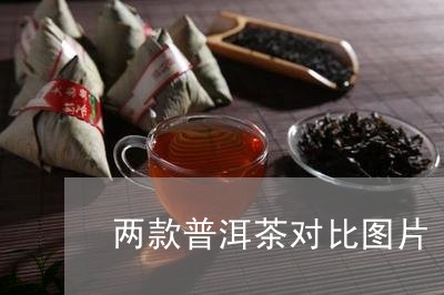 两款普洱茶对比图片/2023082895337